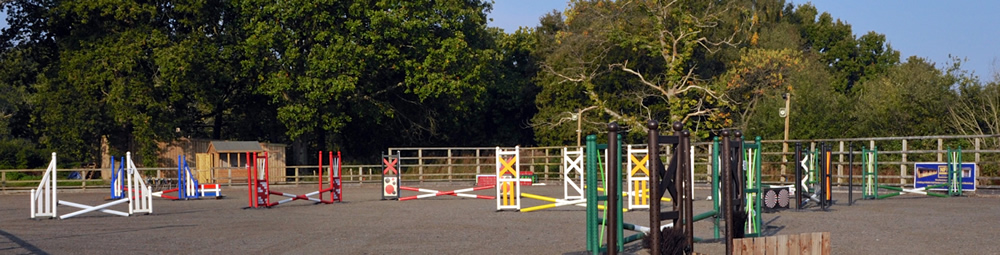 The arena set with show jumps, trees beyond